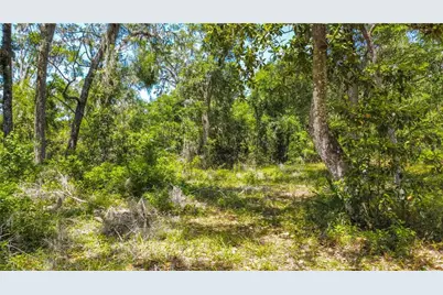 105 NE 239 Avenue, Old Town, FL 32680 - Photo 17