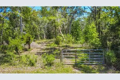 105 NE 239 Avenue, Old Town, FL 32680 - Photo 7