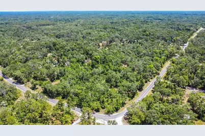 105 NE 239 Avenue, Old Town, FL 32680 - Photo 19