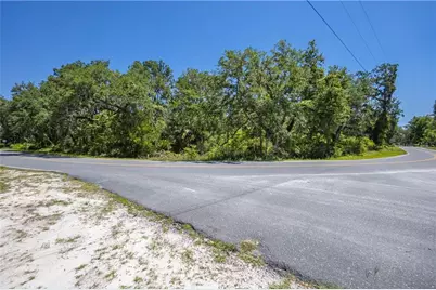 105 NE 239 Avenue, Old Town, FL 32680 - Photo 1