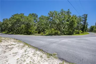 105 NE 239th Ave, Old Town, FL 32680 - Photo 1