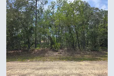 6468 N Baylor Terrace, Citrus Springs, FL 34433 - Photo 9