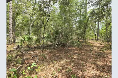 6468 N Baylor Terrace, Citrus Springs, FL 34433 - Photo 7