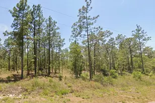 0 NW Water Oak Ave, Dunnellon, FL 34431 - Photo 1