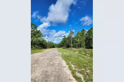 6731 N Darlington Drive, Dunnellon, FL 34434 - Photo 5