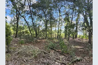 6731 N Darlington Drive, Dunnellon, FL 34434 - Photo 3