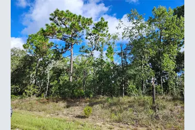 6741 N Darlington Drive, Dunnellon, FL 34434 - Photo 1
