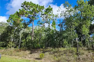 6741 N Darlington Dr, Dunnellon, FL 34434 - Photo 1