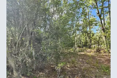 6741 N Darlington Drive, Dunnellon, FL 34434 - Photo 5