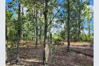 6741 N Darlington Drive, Dunnellon, FL 34434 - Photo 3