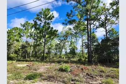 6715 N Darlington Drive, Dunnellon, FL 34434 - Photo 3