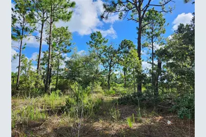 6715 N Darlington Drive, Dunnellon, FL 34434 - Photo 5
