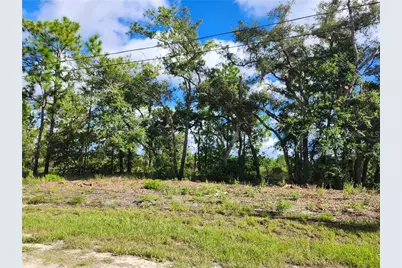 6715 N Darlington Drive, Dunnellon, FL 34434 - Photo 1
