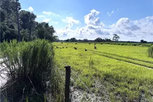 [Address not provided], Dunnellon, FL 34432 - Photo 5