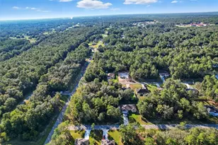 132 W Ruska Pl, Citrus Springs, FL 34434 - Photo 39