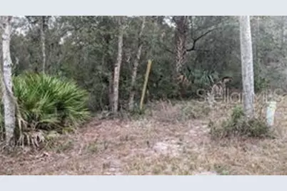 4494 N Tallahassee Road, Crystal River, FL 34428 - Photo 5