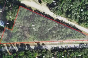 4114 E Camp Izzard Pl, Dunnellon, FL 34434 - Photo 1
