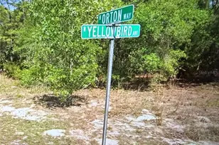 8265 N Yellowbird Ave, Dunnellon, FL 34434 - Photo 1
