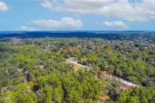 419 N Florene Point, Crystal River, FL 34429 - Photo 15
