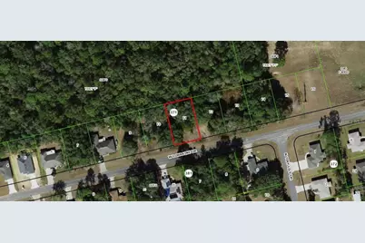 1463 W Lorraine Drive, Dunnellon, FL 34434 - Photo 3