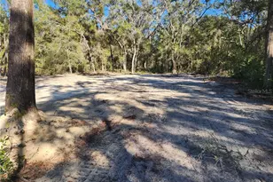7513 W Dunklin St, Dunnellon, FL 34433 - Photo 29