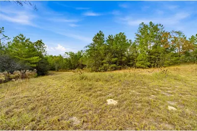 0 Backwoods Way, Brooksville, FL 34613 - Photo 7