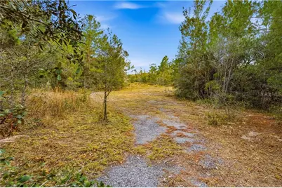0 Backwoods Way, Brooksville, FL 34613 - Photo 9