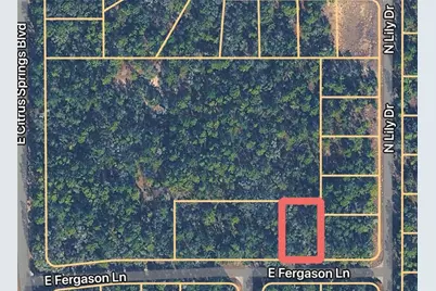 1409 E Fergason Lane, Citrus Springs, FL 34434 - Photo 1