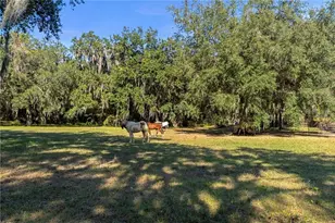 [Address not provided], Okahumpka, FL 34762 - Photo 73