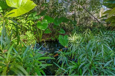 [Address not provided], Okahumpka, FL 34762 - Photo 53