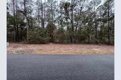 10364 N Academy Drive, Citrus Springs, FL 34434 - Photo 1