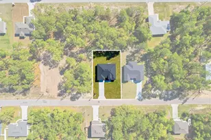 9319 N Cortlandt Dr, Citrus Springs, FL 34434 - Photo 29