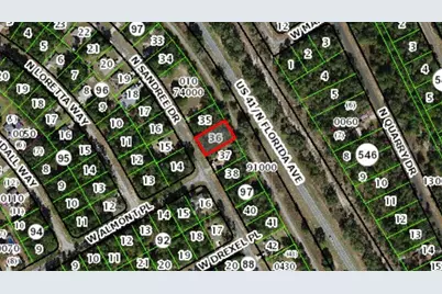 9709 N Sandree Drive, Citrus Springs, FL 34434 - Photo 3