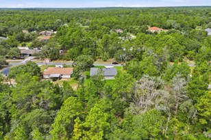 1569 W Mc Neal Dr, Citrus Springs, FL 34434 - Photo 43