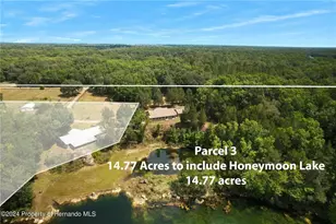 9804 E New Hope Ct, Floral City, FL 34436 - Photo 7