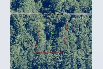 1016 E Vercelli Lane, Dunnellon, FL 34434 - Photo 1