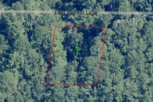1016 E Vercelli Ln, Dunnellon, FL 34434 - Photo 1