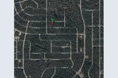1016 E Vercelli Lane, Dunnellon, FL 34434 - Photo 5