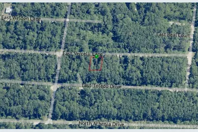1016 E Vercelli Lane, Dunnellon, FL 34434 - Photo 3