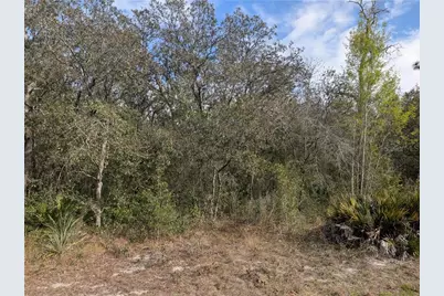 6775 S Sorrell Avenue, Homosassa, FL 34446 - Photo 3