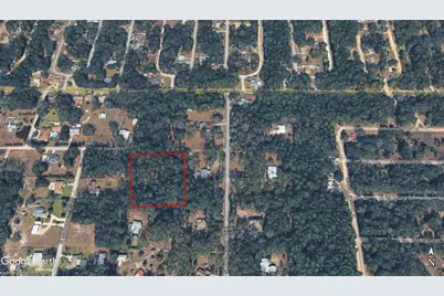 8450 Pine Haven Point, Crystal River, FL 34428 - Photo 3