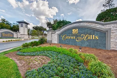 1105 W Pointe Vista Path #43, Hernando, FL 34442 - Photo 53