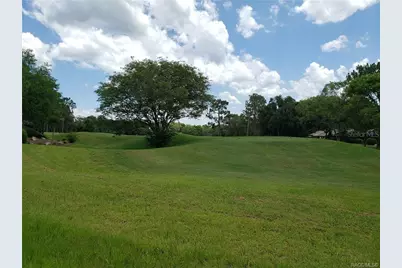 3541 N Pine Valley Loop, Lecanto, FL 34461 - Photo 3