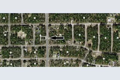 10940 N G Martinelli Boulevard, Citrus Springs, FL 34433 - Photo 1