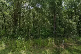 305 N Fitzpatrick Ave, Inverness, FL 34453 - Photo 1