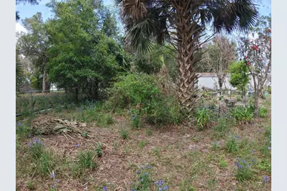 11590 SE 203rd Place, Inglis, FL 34449 - Photo 81