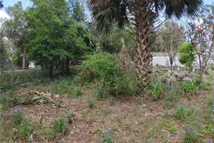 11590 SE 203rd Pl, Inglis, FL 34449 - Photo 81