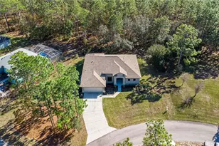 7 Eugenia Ct W, Homosassa, FL 34446 - Photo 39