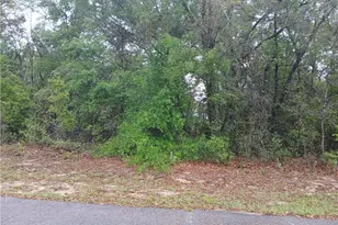 7851 N Vince Dr, Dunnellon, FL 34434 - Photo 1