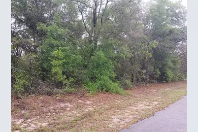 7851 N Vince Drive, Dunnellon, FL 34434 - Photo 3